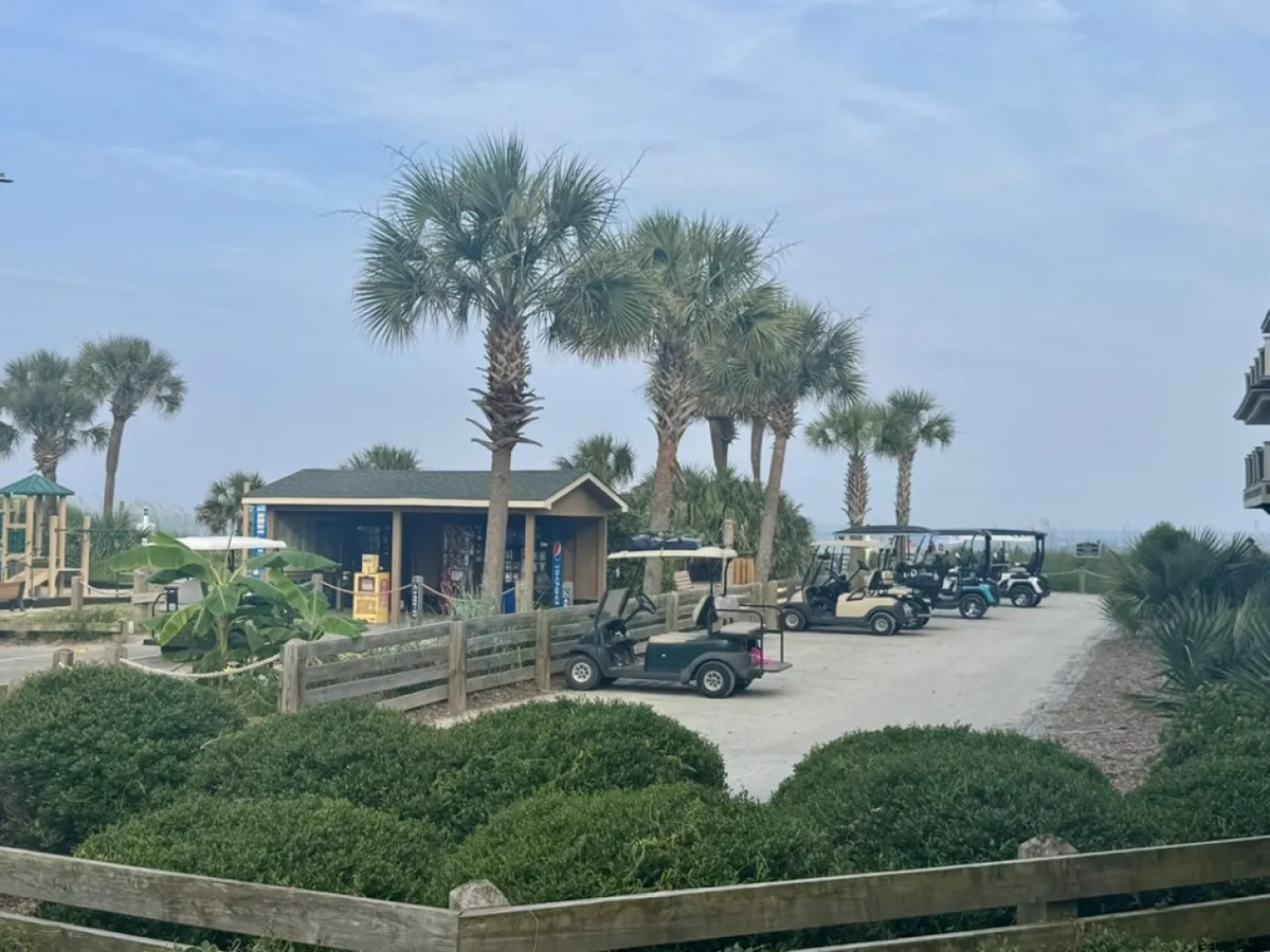 This image captures an outdoor area featuring vibrant playground equipment, palm trees, several golf carts, and a casual snack shack. People are gathered, engaging in leisurely activities and enjoying snacks, embodying the communal, amenity-rich environment of a resort.